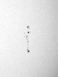 20100208_Sunspots_001_768x1024